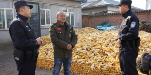 警护稻乡安！冰城公安扎根乡土暖民心