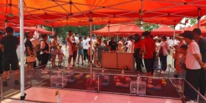 王杨乡：文明实践润乡土 实干担当促振兴