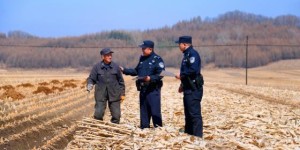 冰城公安：以法为盾暖人心  筑牢黑土“平安防线”