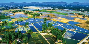 2279岁的都江堰，仍在“成长”