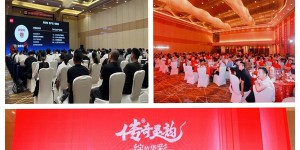 双奖加冕 荣耀全城 | 鹏鸿2025临沂木博会“双冠王”实至名归！