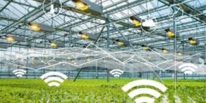 ​2023年智慧农业技术：迈向现代化农业的新时代